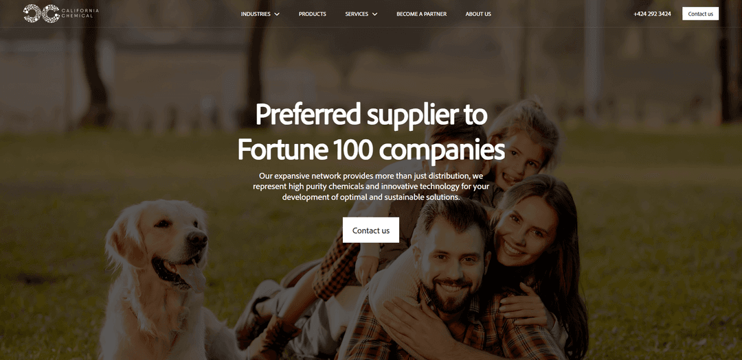 California Chem – Brand-focused Corporate Website